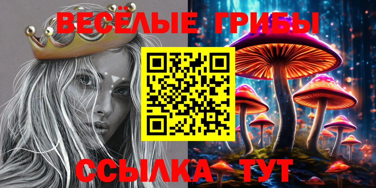 Славянск-на-Кубани  Псилоцибиновые грибы Psilocybe  Псилоцибиновые грибы GOLDEN TEACHER  Вход с VPN 